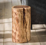 Acacia Tree Trunk Side Table