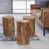 Acacia Tree Trunk Side Table